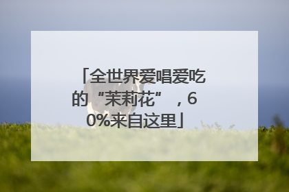 全世界爱唱爱吃的“茉莉花”，60%来自这里